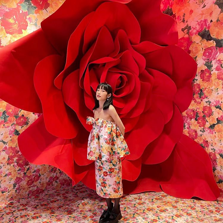 Ulkan atirgul fonida